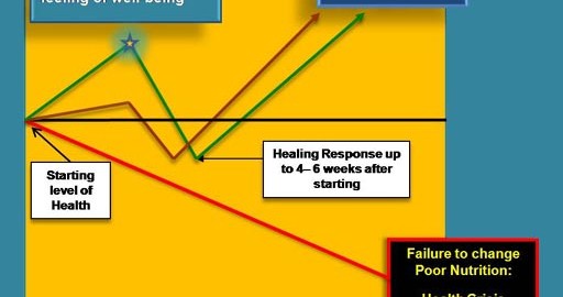 Ganoderma-healing-cycle